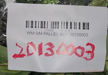 Load image into Gallery viewer, WM GM PALLET-BOS 20130003